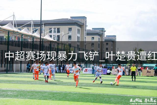中超赛场现暴力飞铲 叶楚贵遭红牌驱逐引热议