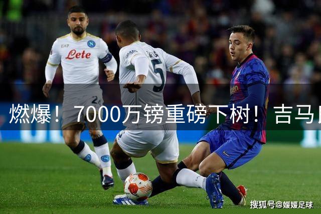 燃爆！7000万镑重磅下树！吉马良斯敲定阿森纳，枪迷终于等到期盼已久中场强援