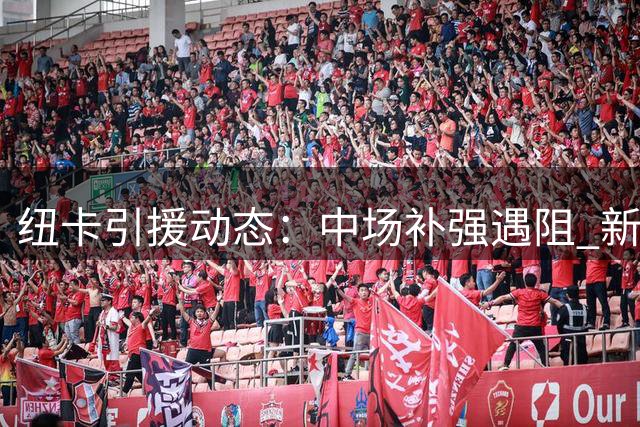 纽卡引援动态：中场补强遇阻 新援德迪奇有望首秀