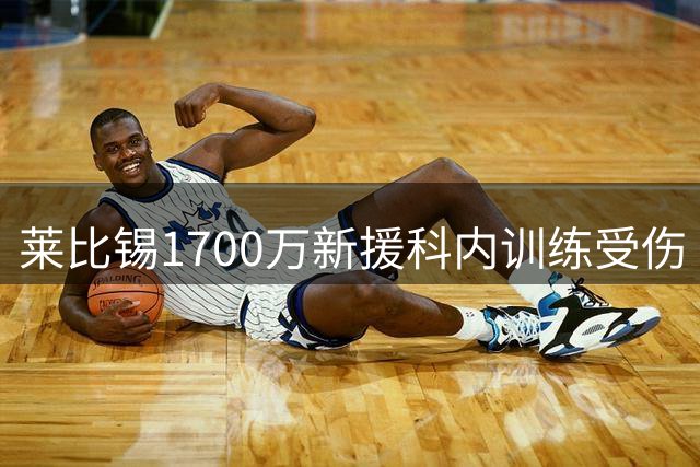莱比锡1700万新援科内训练受伤 季前备战遭遇打击